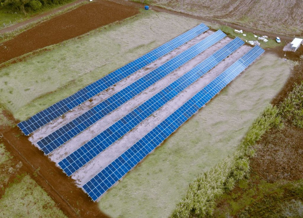Imagem de usina solar implantada no interior do Paraná
